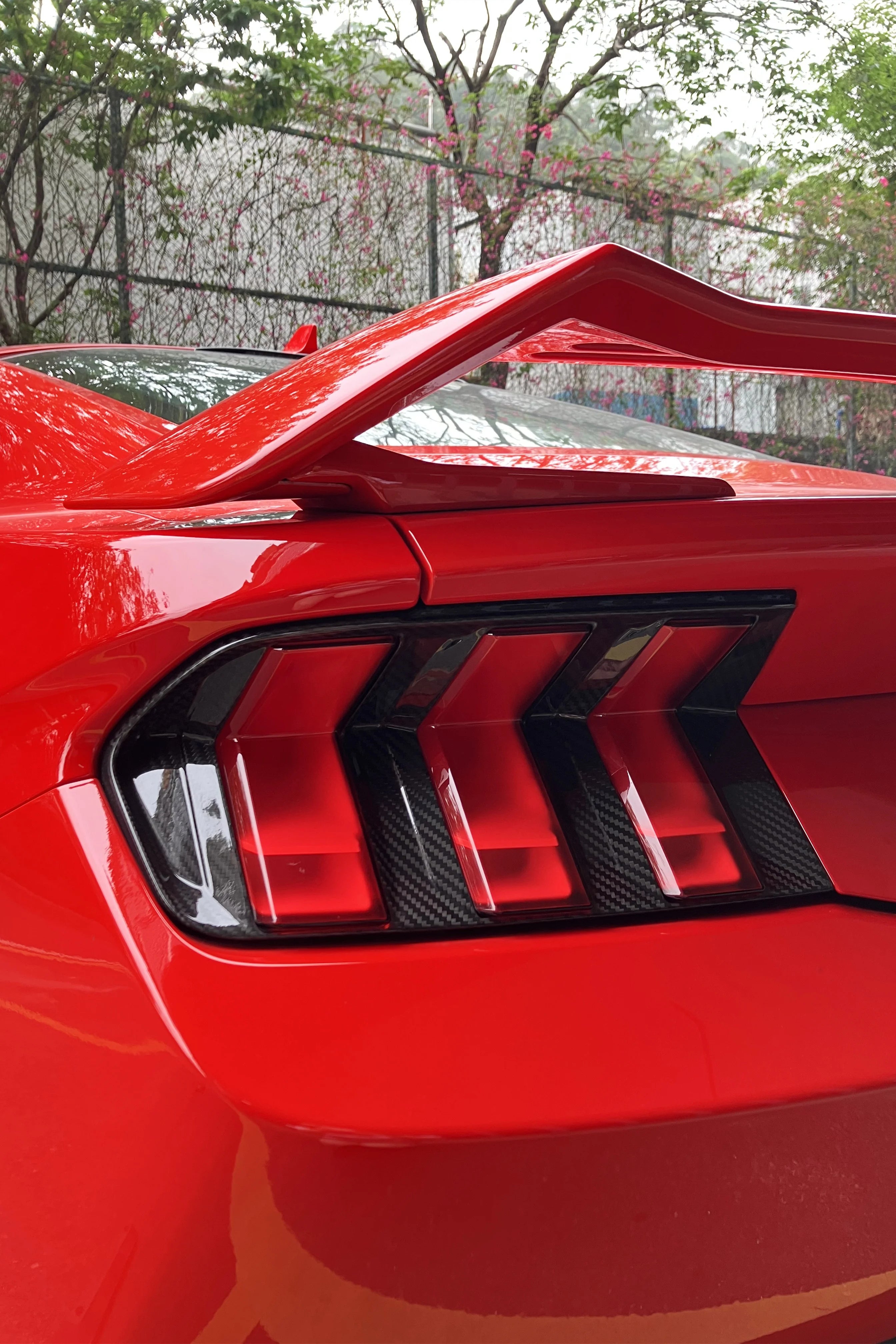 Ford Mustang S650 2024+Carbon Fiber Rear Tail Light Trim Bezel Covers